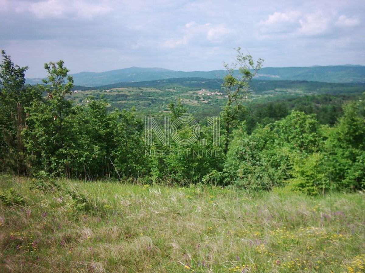 Zemljišče Lupoglav, 83.000m2