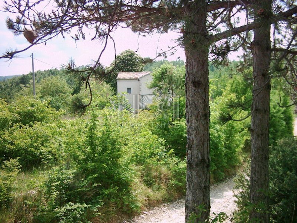 Zemljišče Lupoglav, 83.000m2