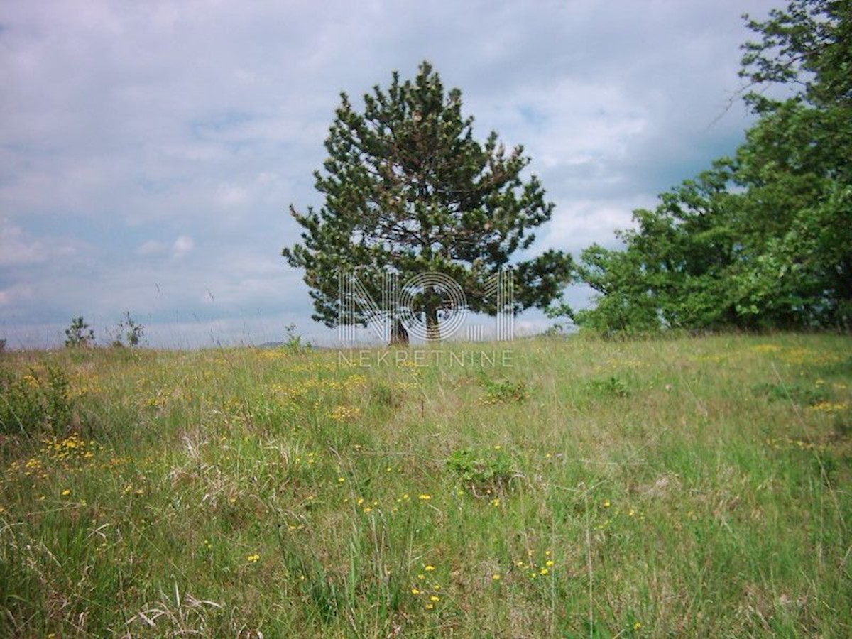 Zemljišče Lupoglav, 83.000m2