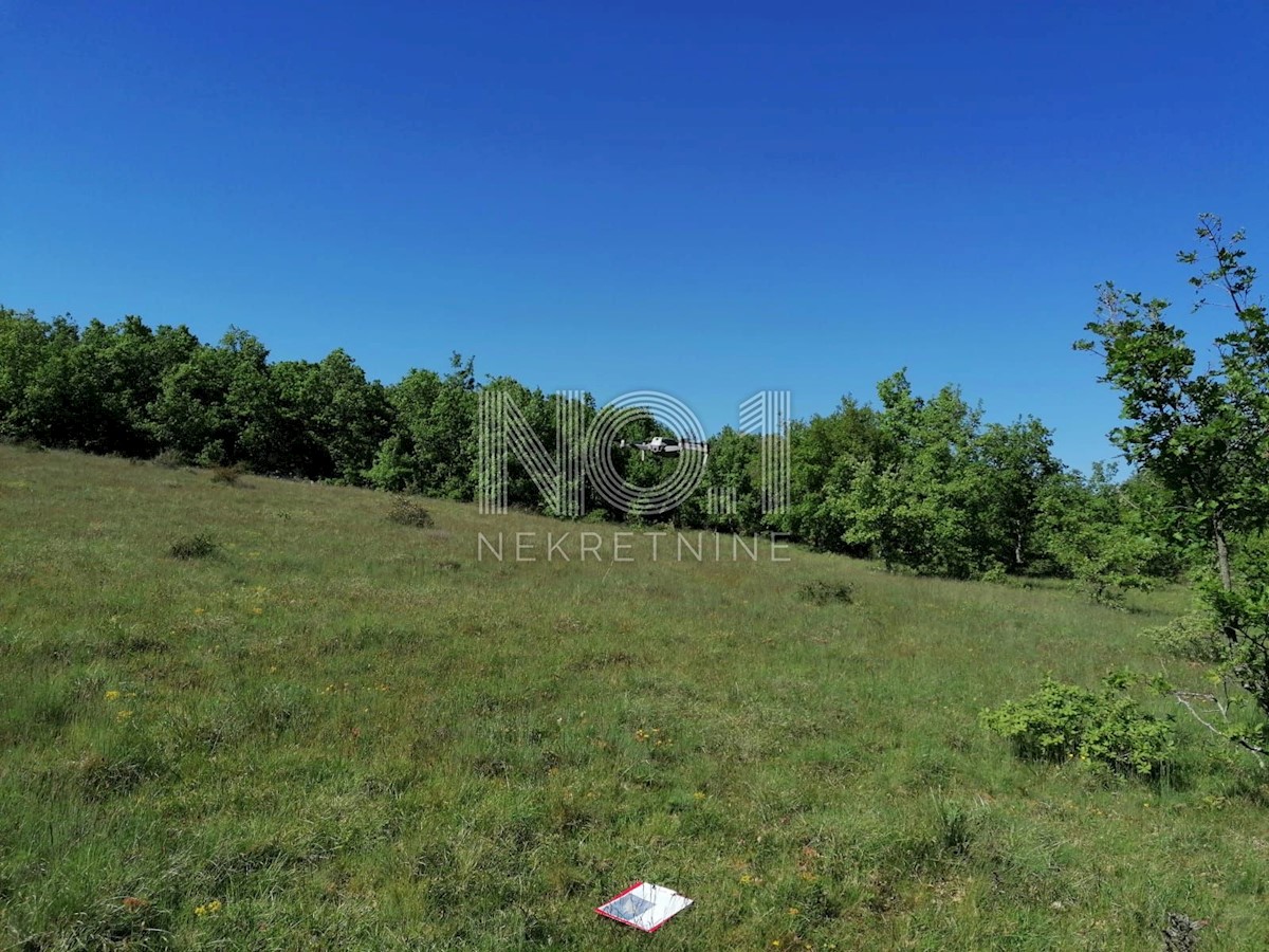 Višnjan - prodaja večje kmetijske parcele s pogledom na morje