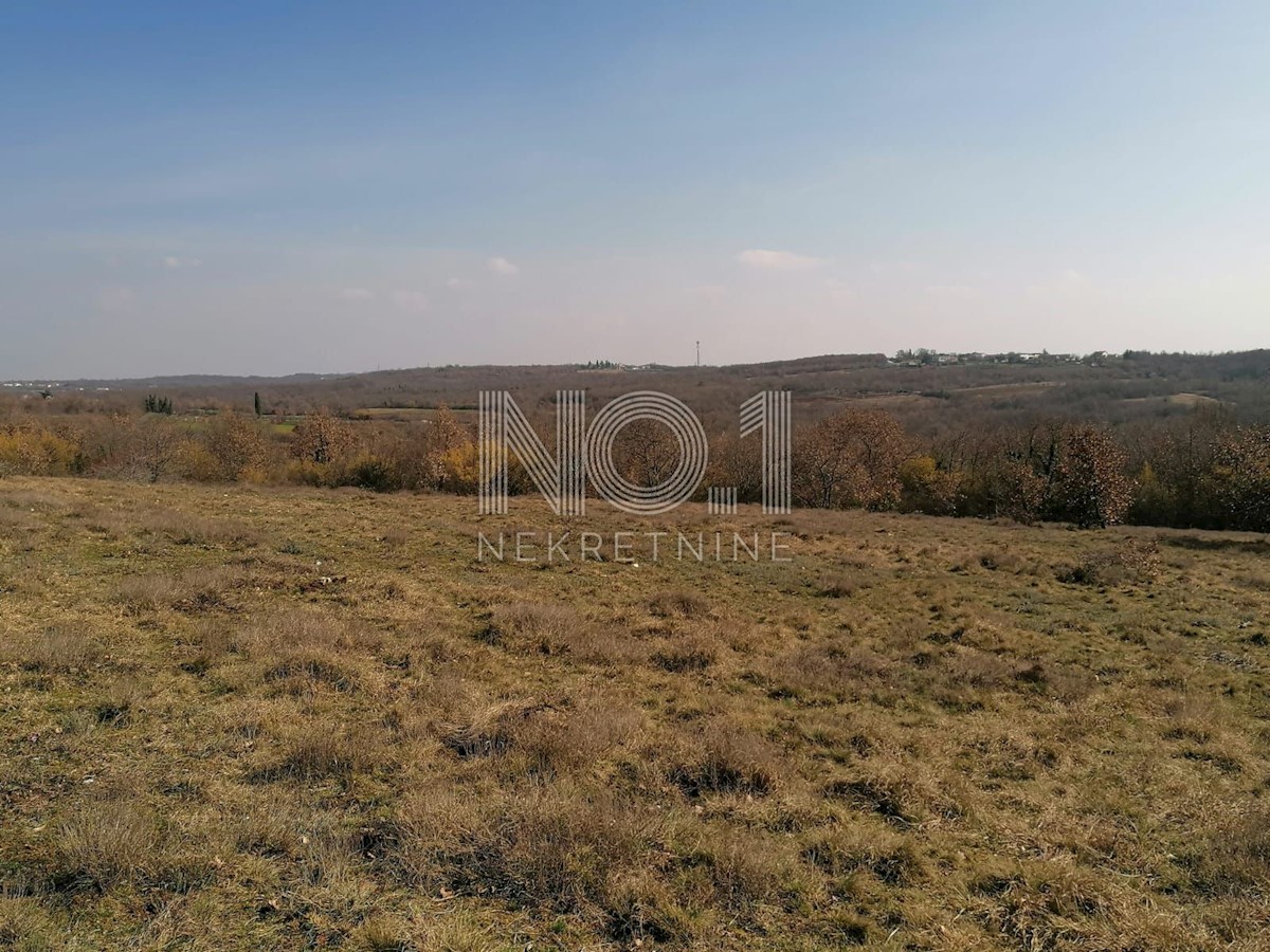 Višnjan - prodaja večje kmetijske parcele s pogledom na morje