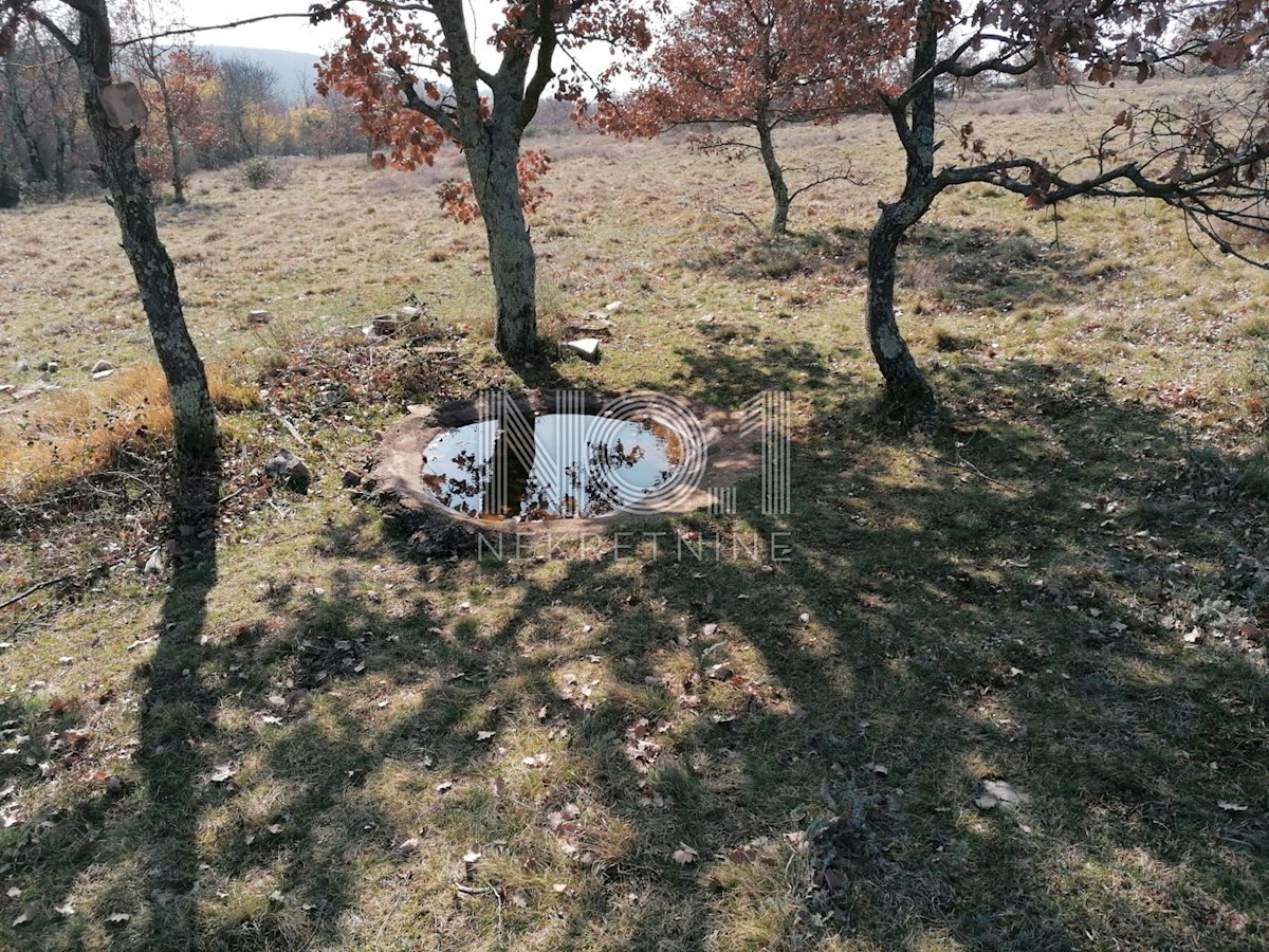 Višnjan - prodaja večje kmetijske parcele s pogledom na morje
