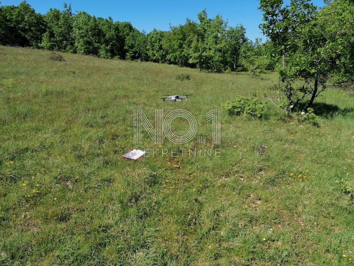 Višnjan - prodaja večje kmetijske parcele s pogledom na morje