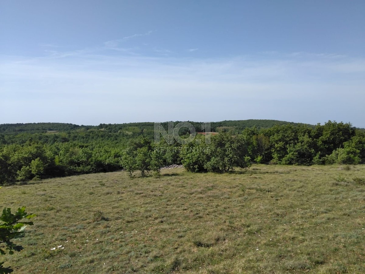 Višnjan - prodaja večje kmetijske parcele s pogledom na morje