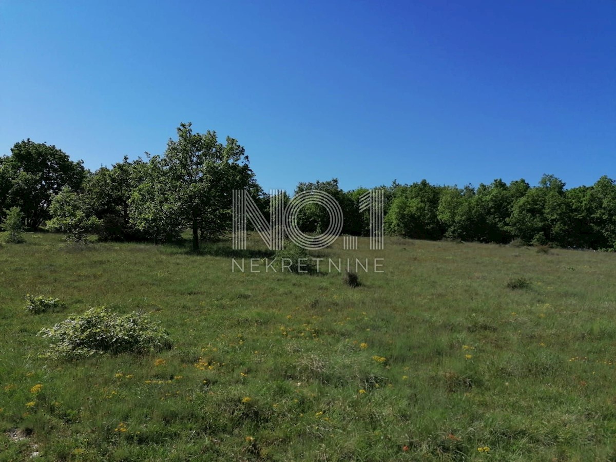 Višnjan - prodaja večje kmetijske parcele s pogledom na morje