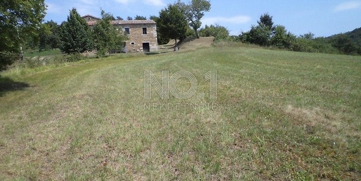 Novaki Motovunski - prodaja večjega zemljišča na podeželju