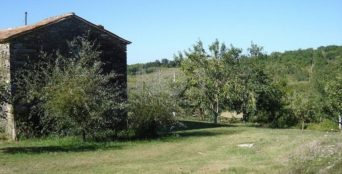 Novaki Motovunski - prodaja večjega zemljišča na podeželju