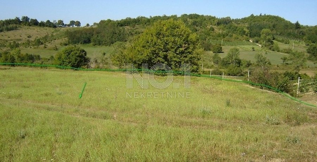 Novaki Motovunski - prodaja večjega zemljišča na podeželju