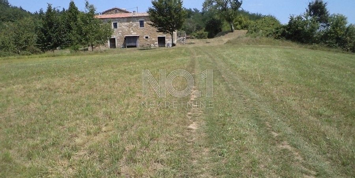 Novaki Motovunski - prodaja večjega zemljišča na podeželju