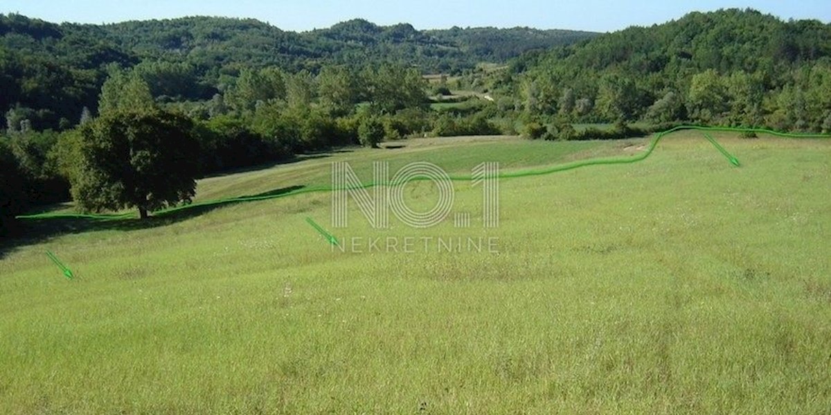 Novaki Motovunski - prodaja večjega zemljišča na podeželju