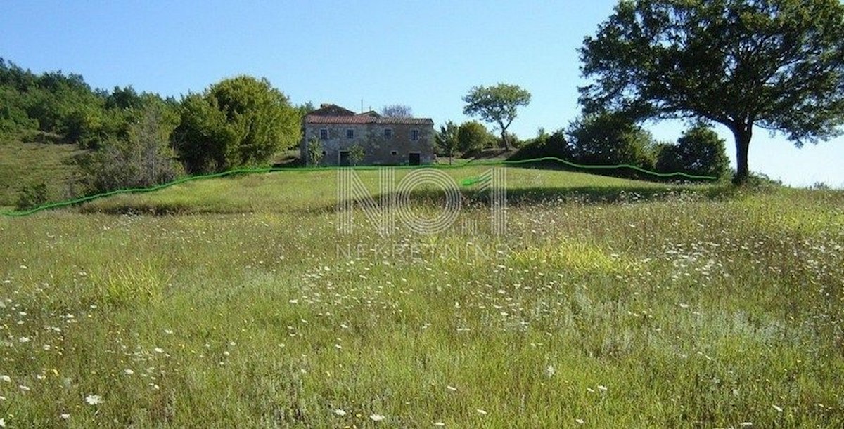 Novaki Motovunski - prodaja večjega zemljišča na podeželju