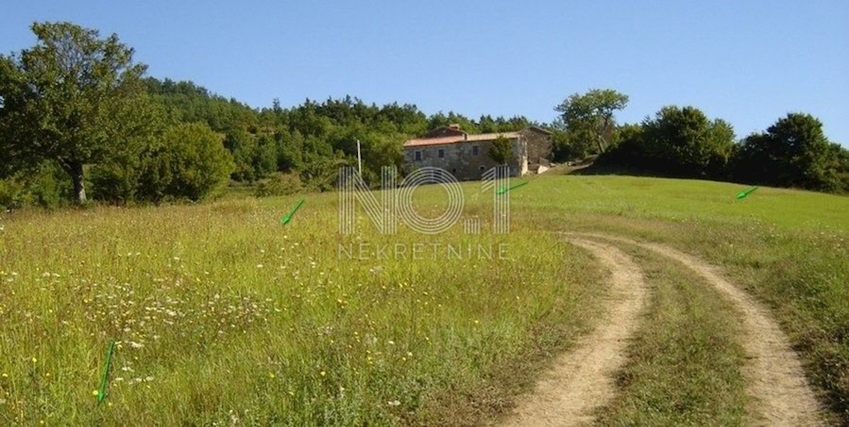 Novaki Motovunski - prodaja večjega zemljišča na podeželju