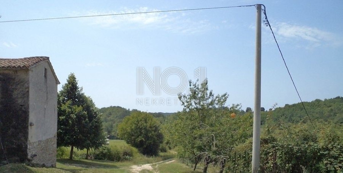 Novaki Motovunski - prodaja večjega zemljišča na podeželju