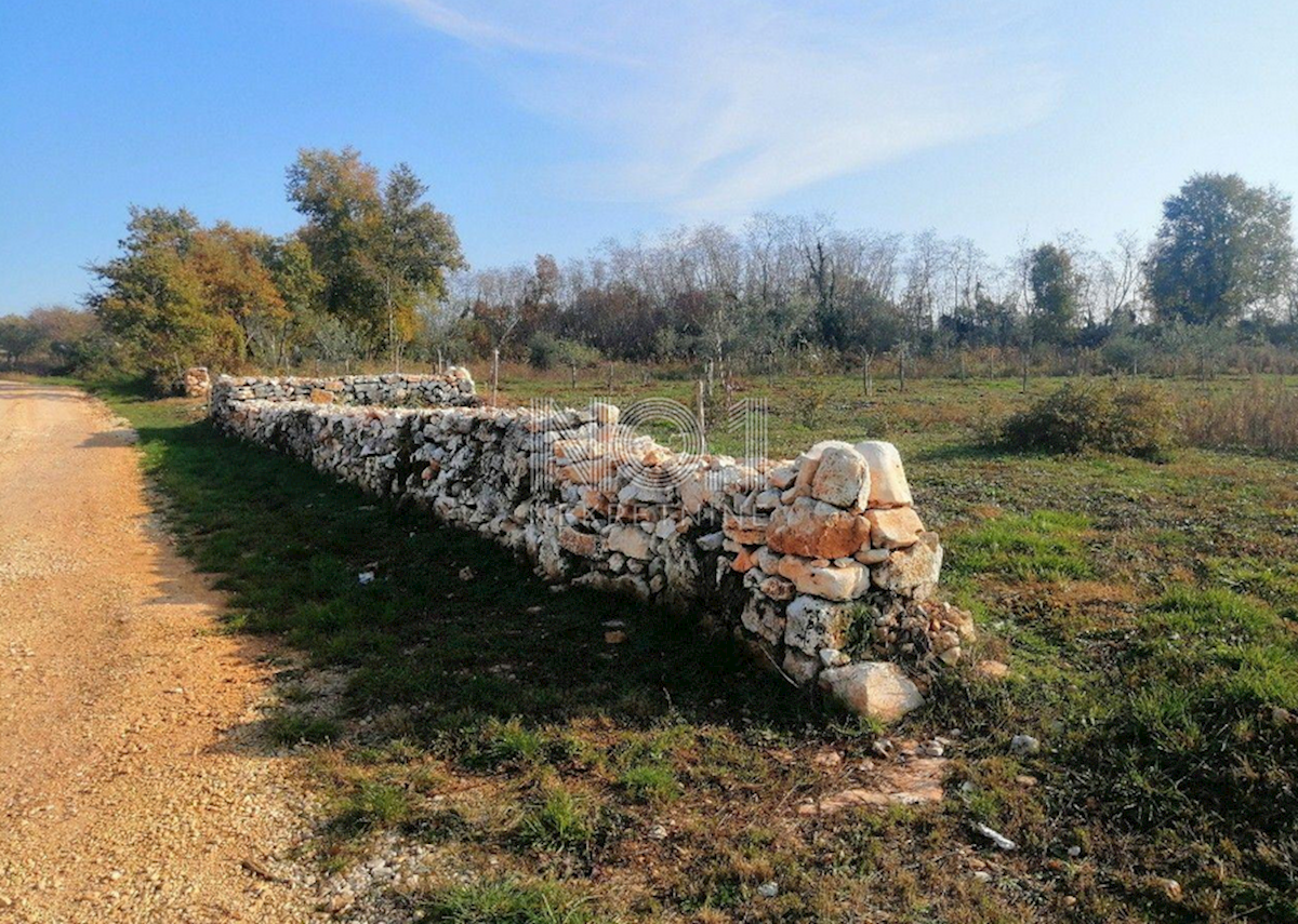 Kaštelir Labinci - prodaja gradbenega zemljišča v poslovni coni