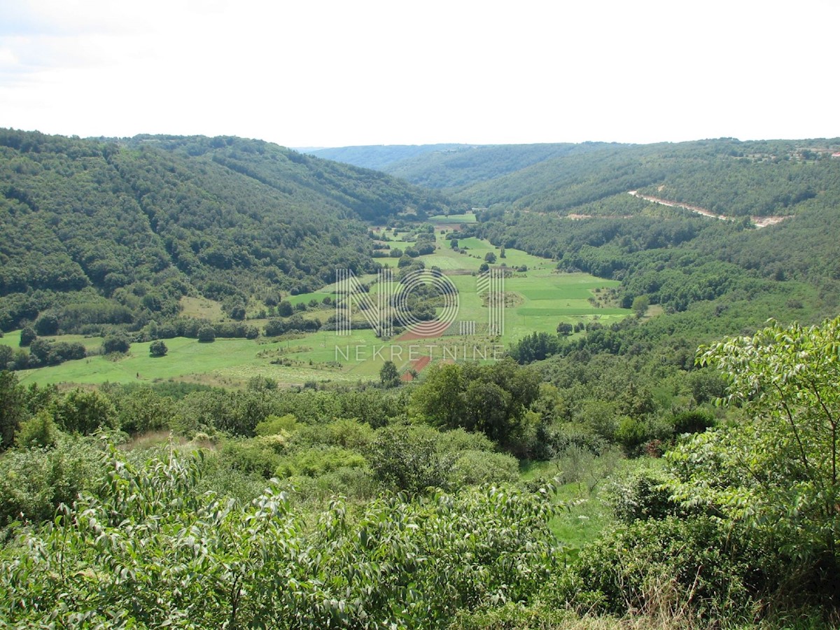 Mofardini - prodaja kmetijskih parcel