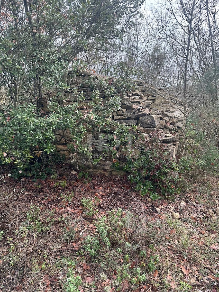 Krnica - prodaja kmetijskih parcel