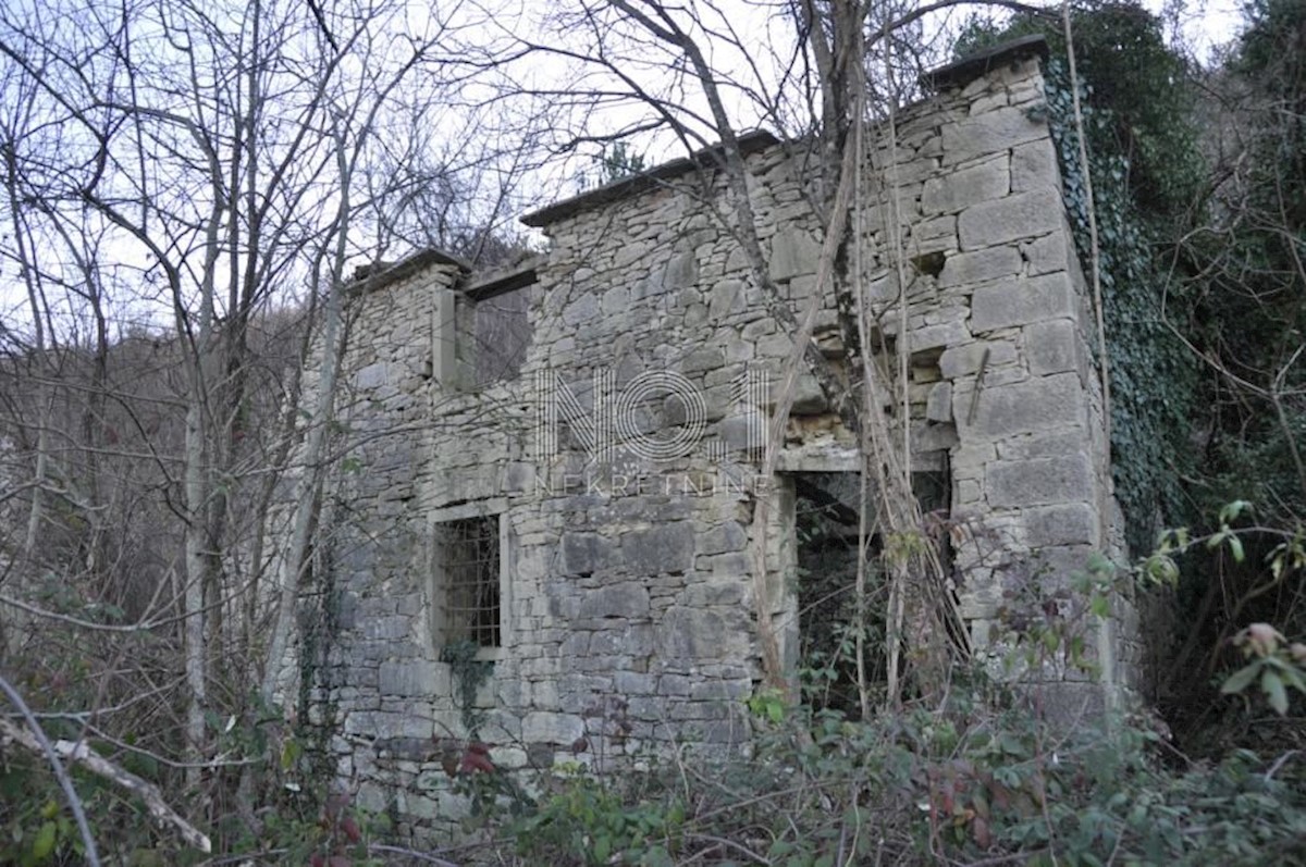 Buzet - zemljišče s starinami 82500 m2