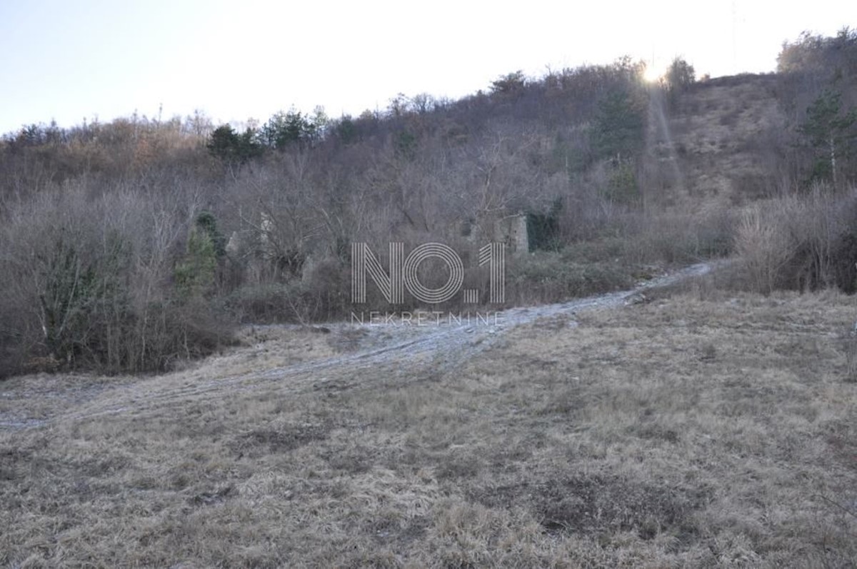 Buzet - zemljišče s starinami 82500 m2