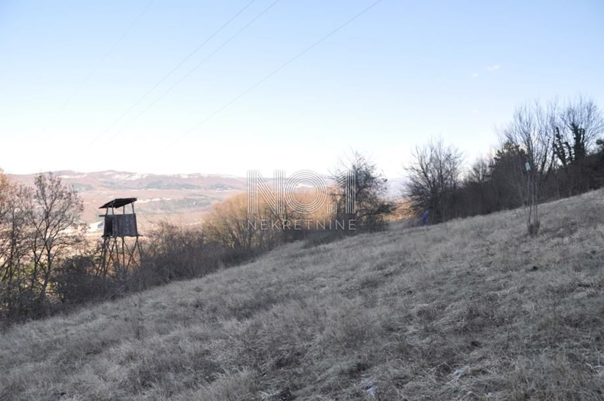 Buzet - zemljišče s starinami 82500 m2