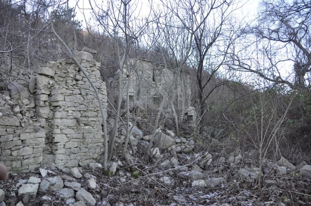 Buzet - zemljišče s starinami 82500 m2