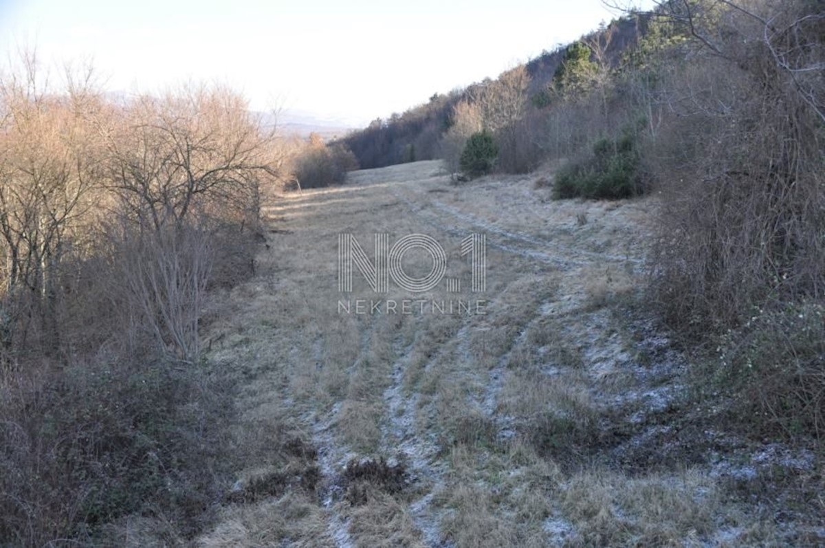 Buzet - zemljišče s starinami 82500 m2