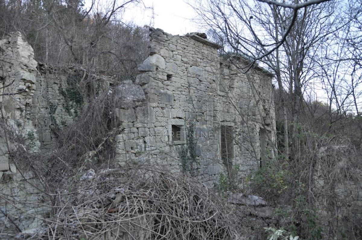 Buzet - zemljišče s starinami 82500 m2