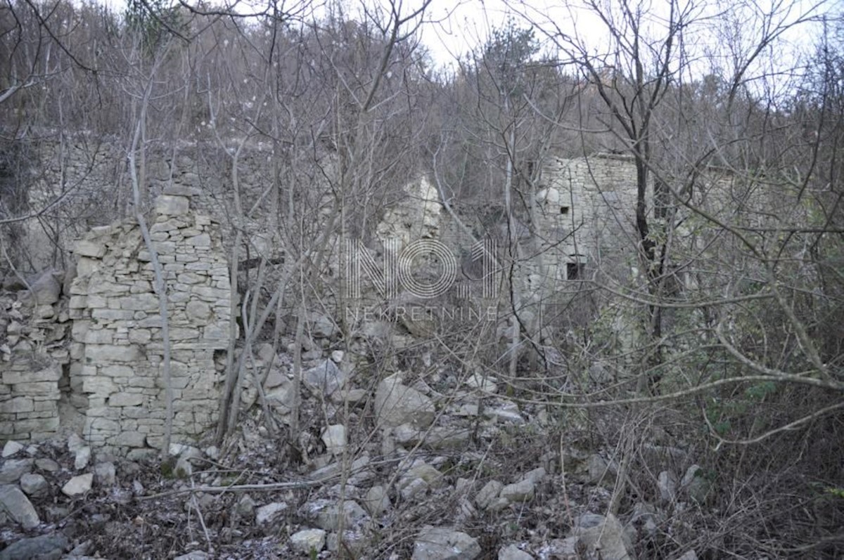 Buzet - zemljišče s starinami 82500 m2