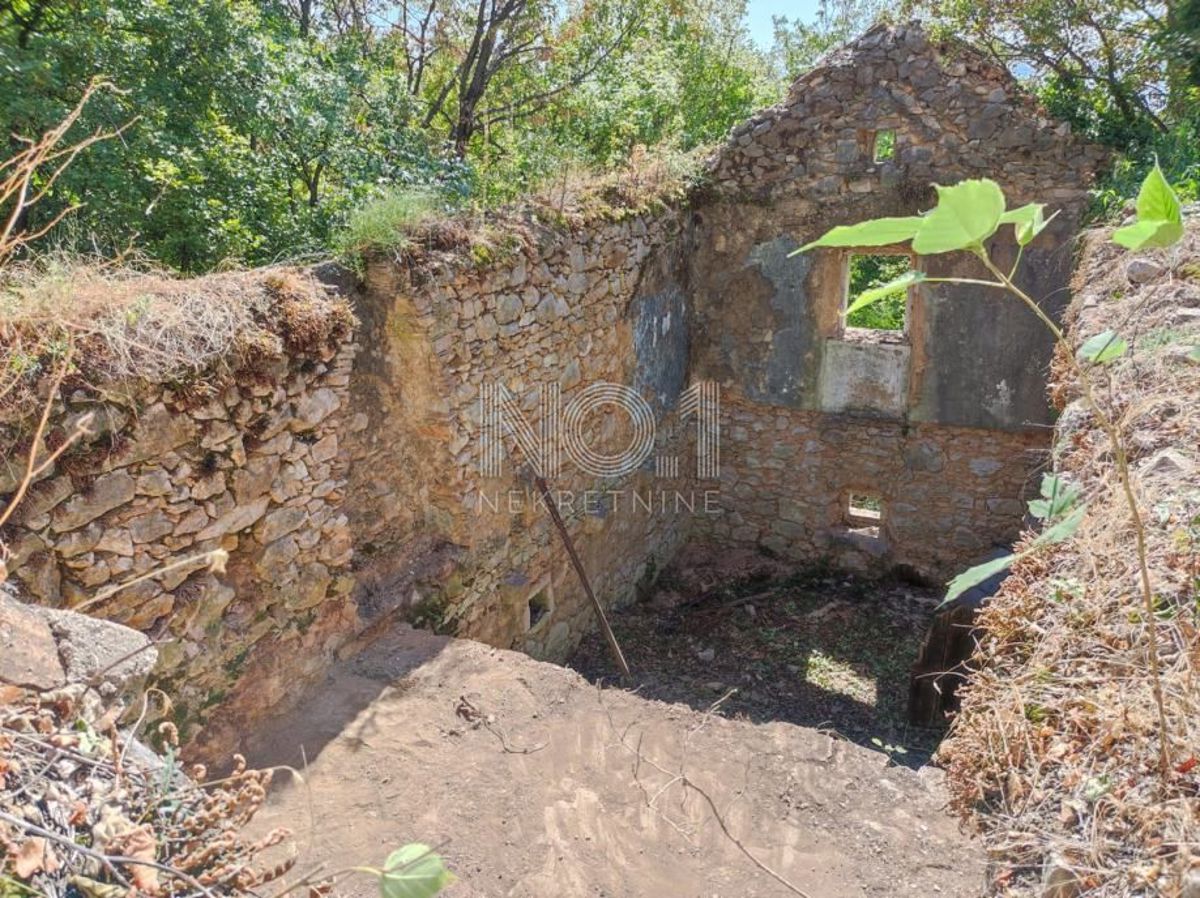 Hreljin - prodaja kmetijskega zemljišča z ruševinami