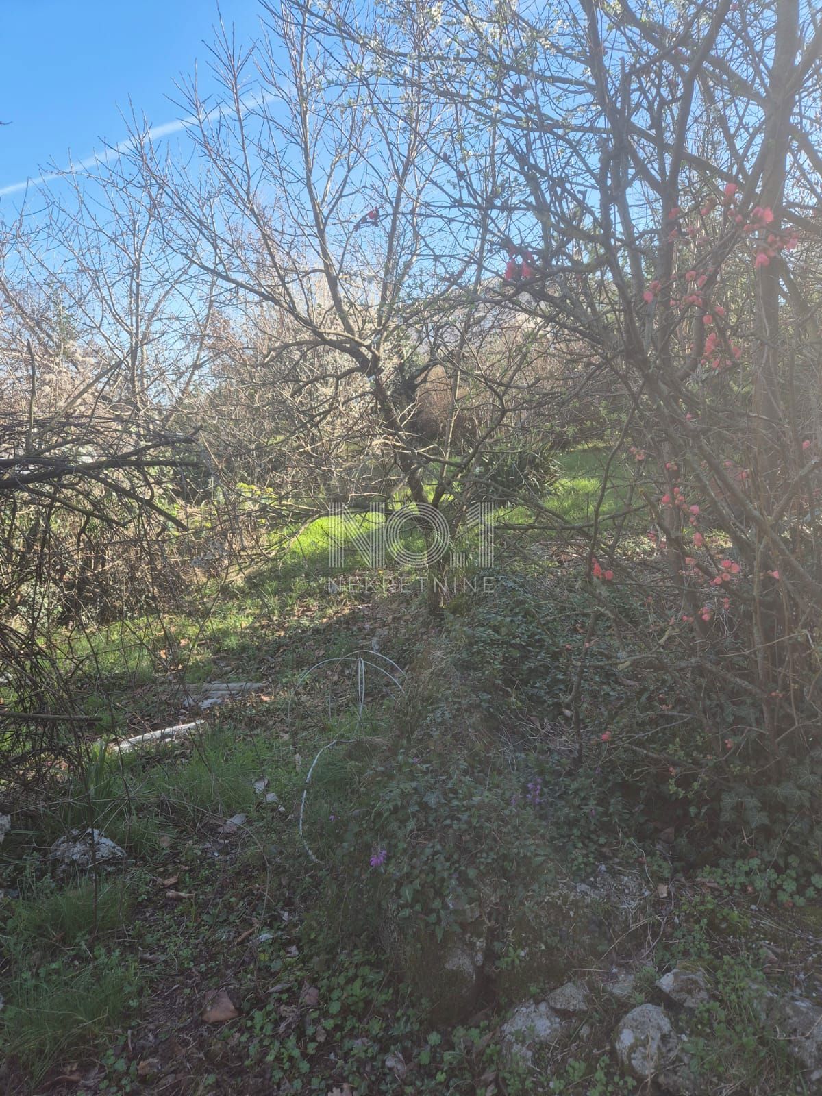 Kastav, Spinčići - prodaja gradbenega zemljišča s staro hišo