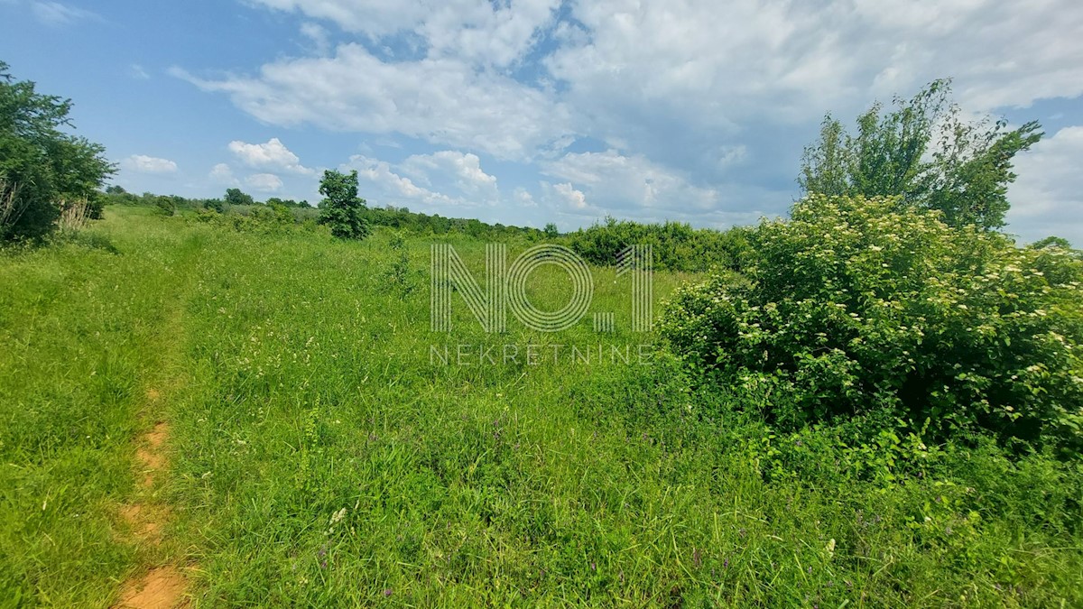Umag - gradbeno zemljišče s pogledom na morje