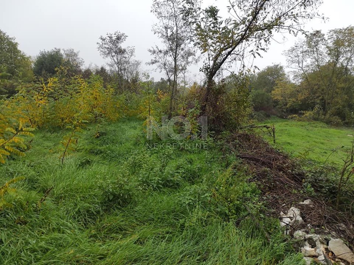 Tinjan - prodaja gradbenih parcel za stanovanjsko gradnjo