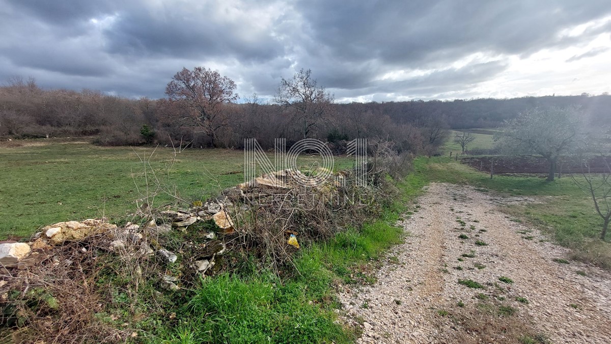 Buje - prodaja gradbenega zemljišča z infrastrukturo