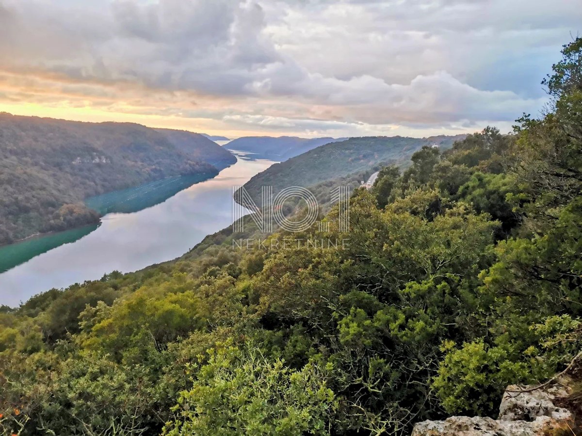 Sveti Lovreč - prodaja kmetijskega zemljišča