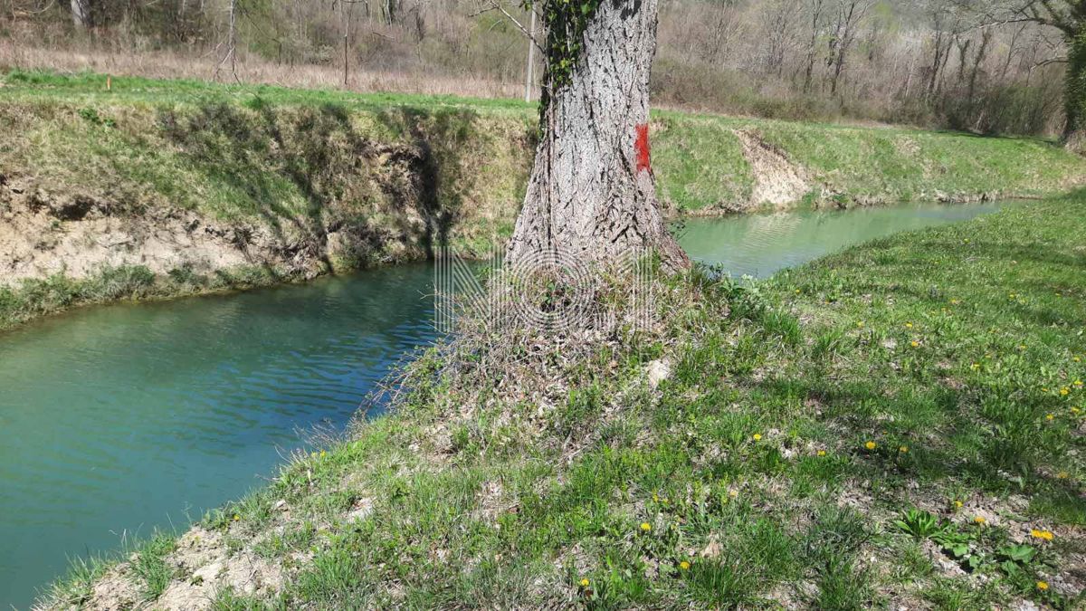 Sovinjak - prodaja kmetijskega zemljišča