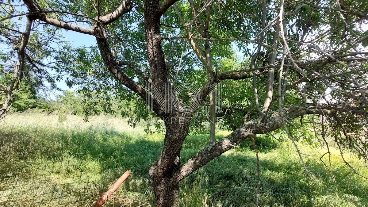 Kaštelir - prodaja gradbenega zemljišča s pogledom na morje!