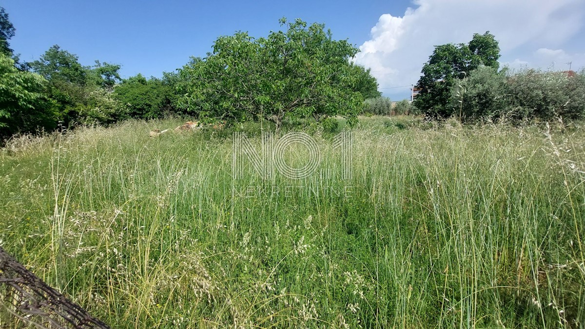 Kaštelir - prodaja gradbenega zemljišča s pogledom na morje!