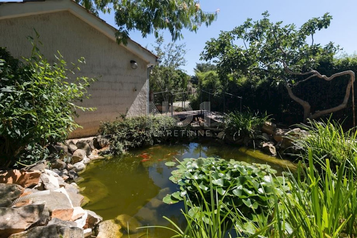 Poreč - čudovita vila s 3 apartmaji in bazenom