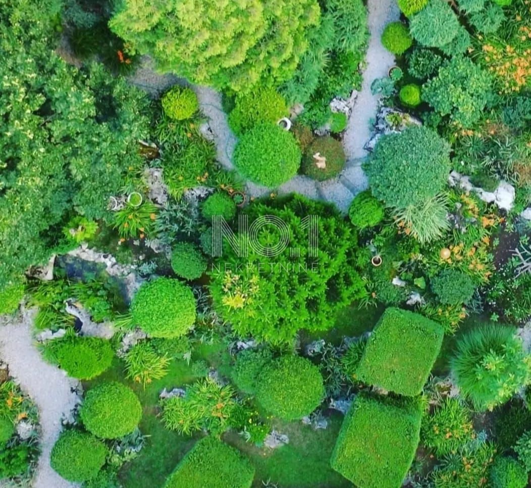 Ročko Polje - prodaja 2 istrskih hiš z impozantnimi vrtovi in bazeni