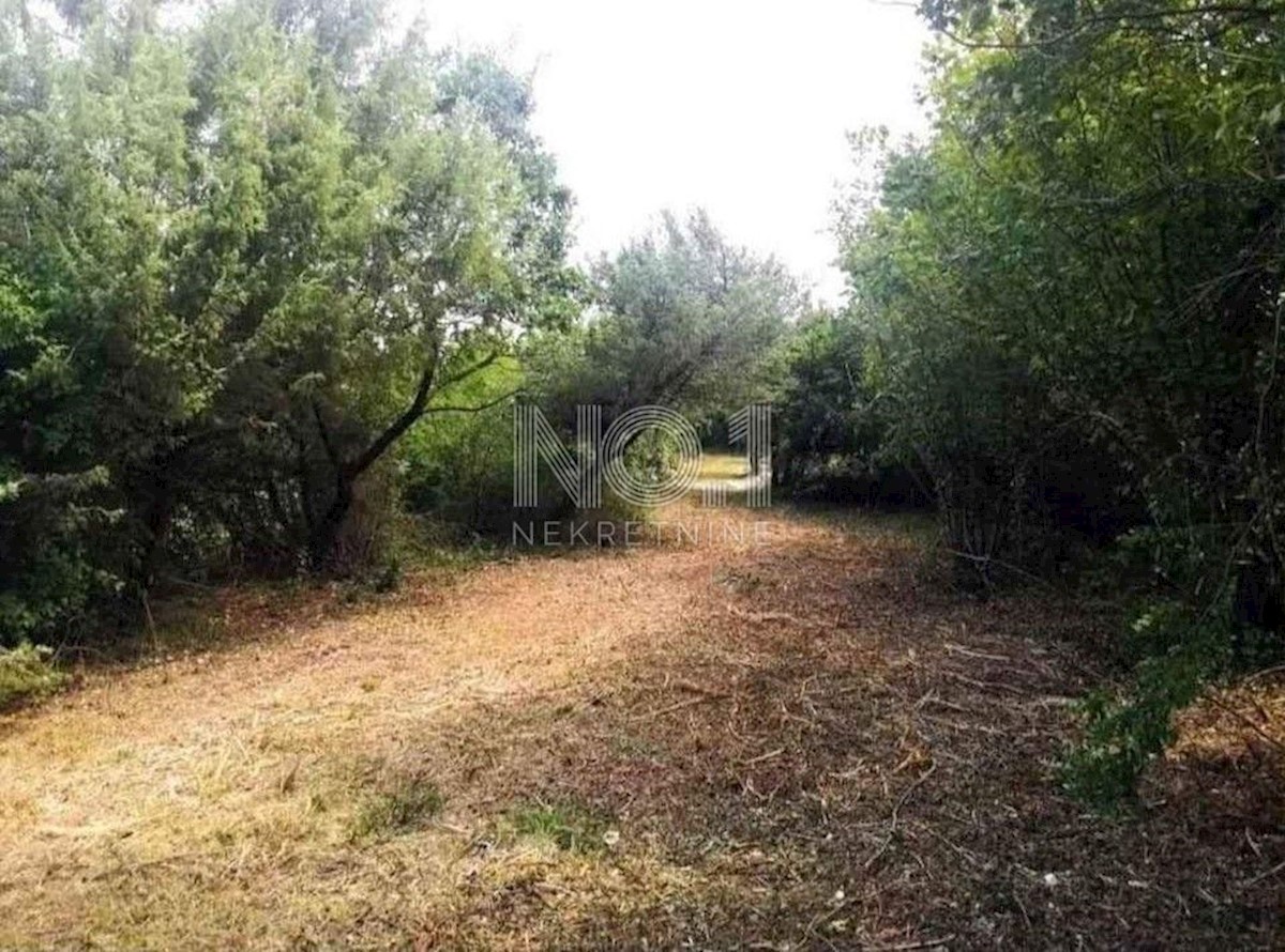 Vodnjan - prodaja kmetijskega zemljišča
