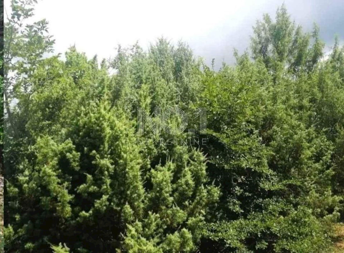 Vodnjan - prodaja kmetijskega zemljišča