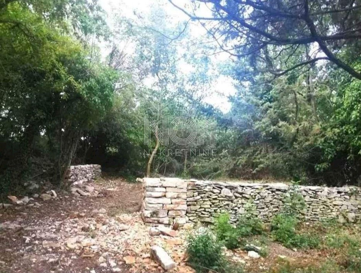 Vodnjan - prodaja kmetijskega zemljišča