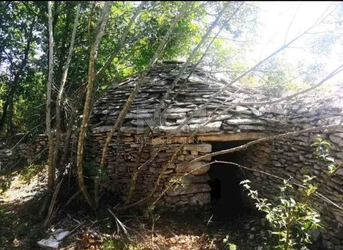 Vodnjan - prodaja kmetijskega zemljišča