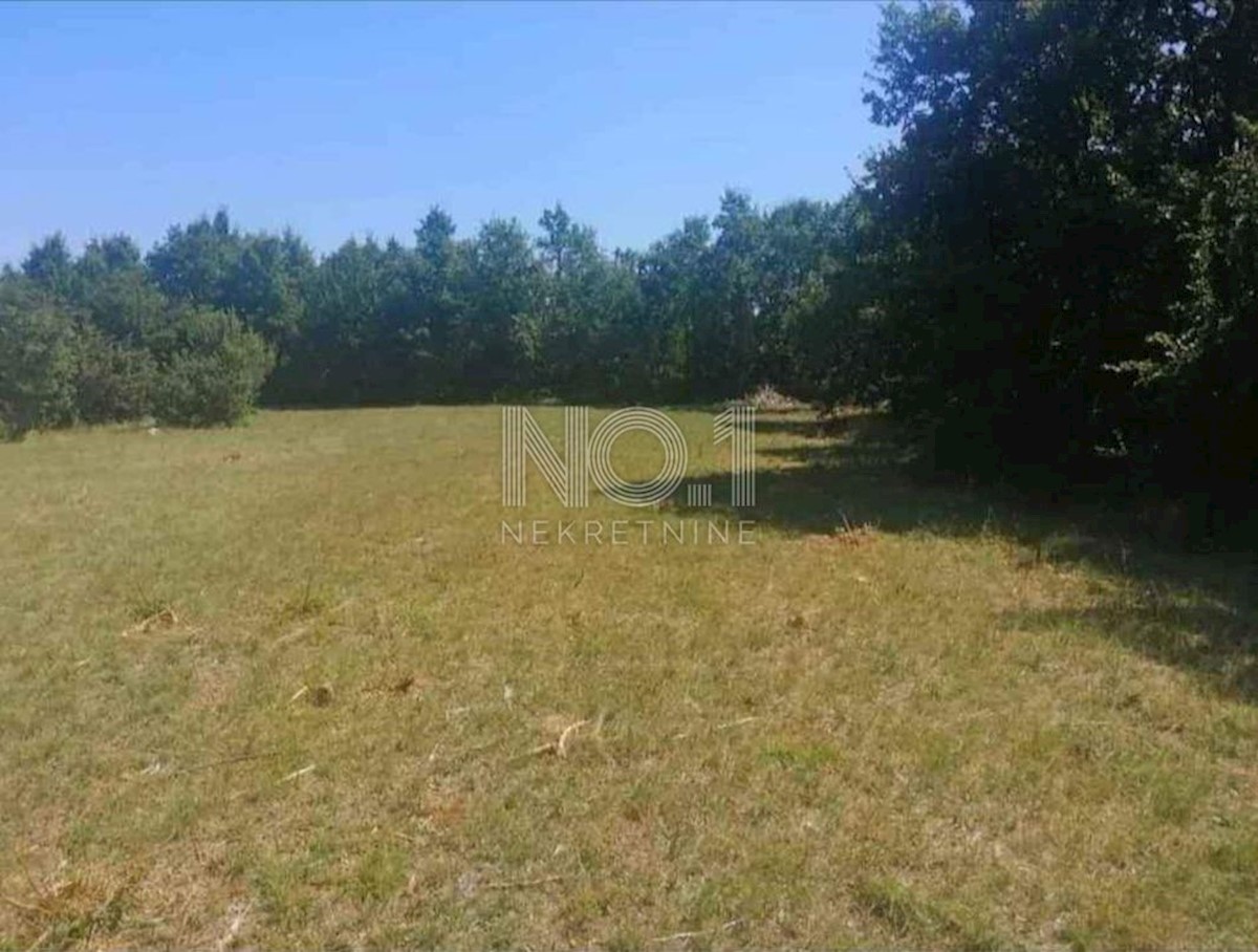 Vodnjan - prodaja kmetijskega zemljišča