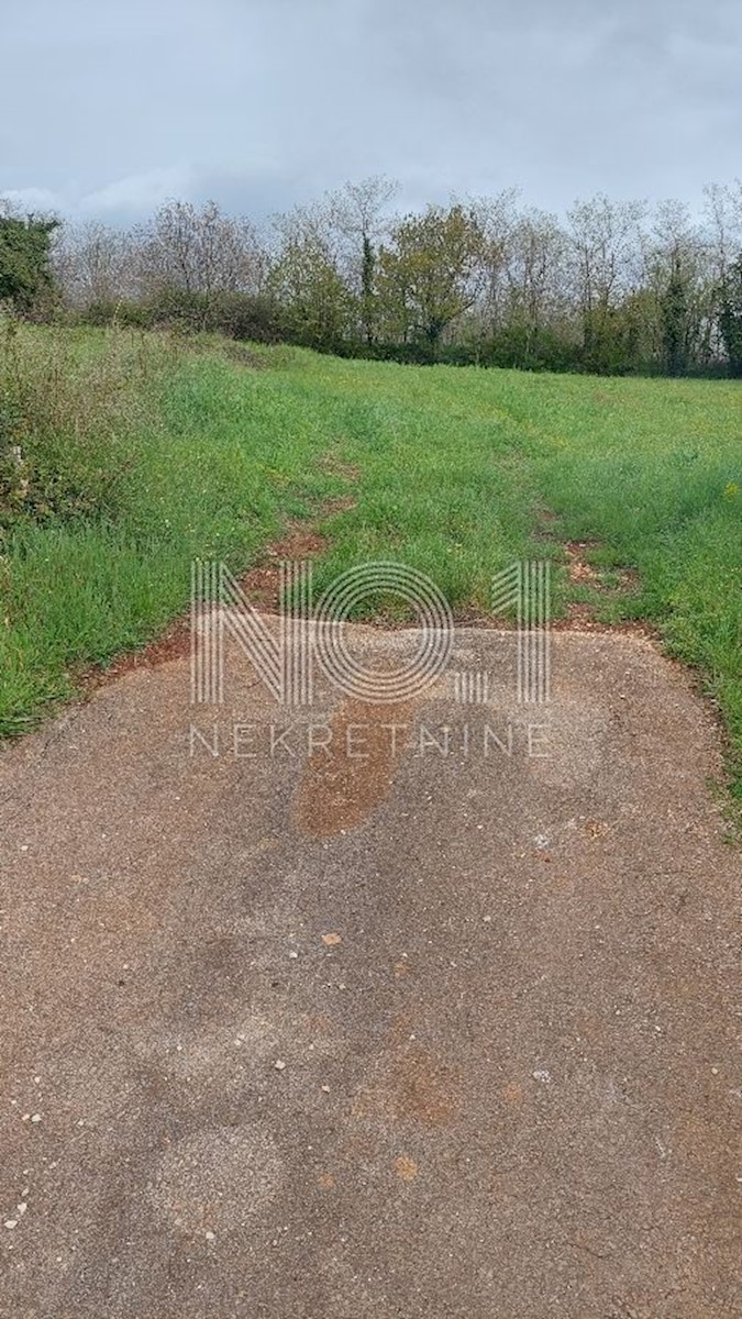 Kaštelir - prodaja gradbenega zemljišča z infrastrukturo