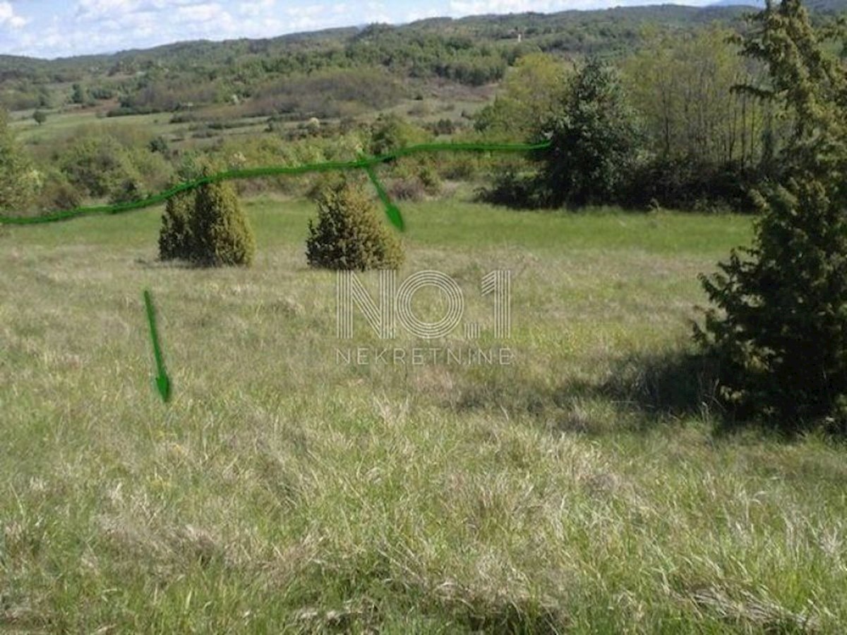 Trviž - veliko kmetijsko zemljišče