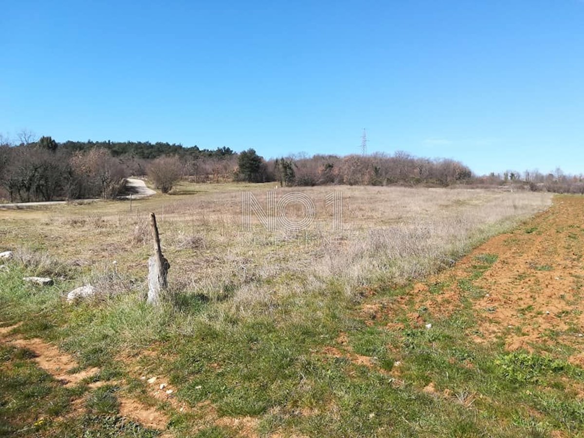 Mugeba - sale of agricultural plots