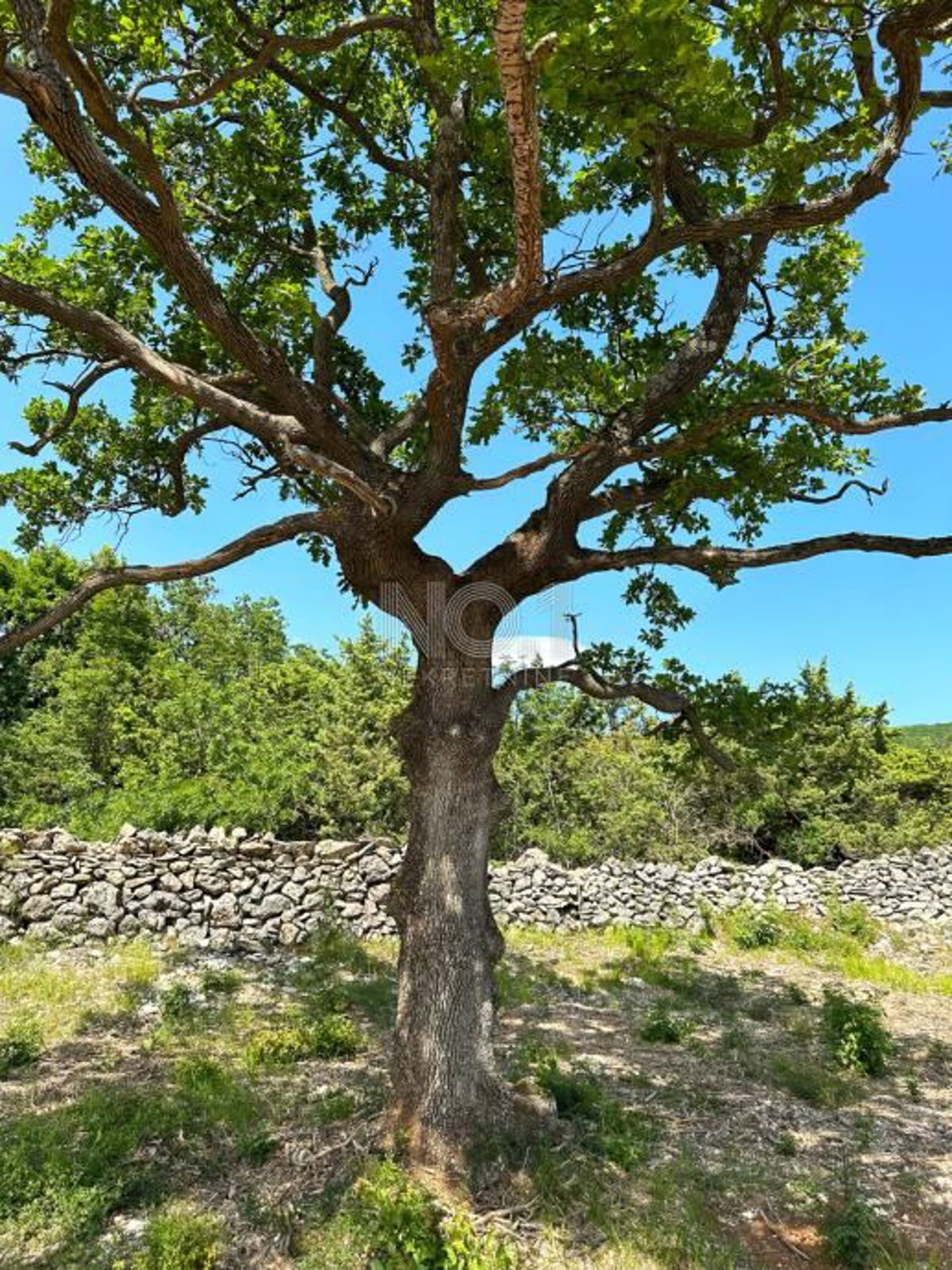 Labin - prodaja gradbenega zemljišča s pogledom na morje