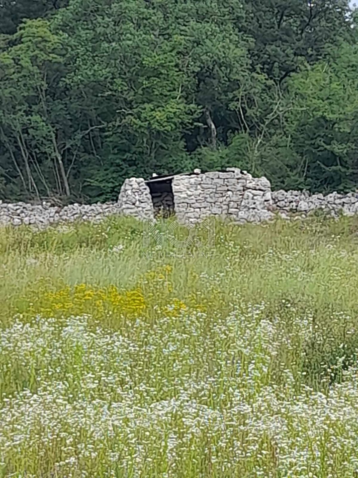 Rovinj - Prodaja kmetijskega zemljišča z možnostjo gradnje