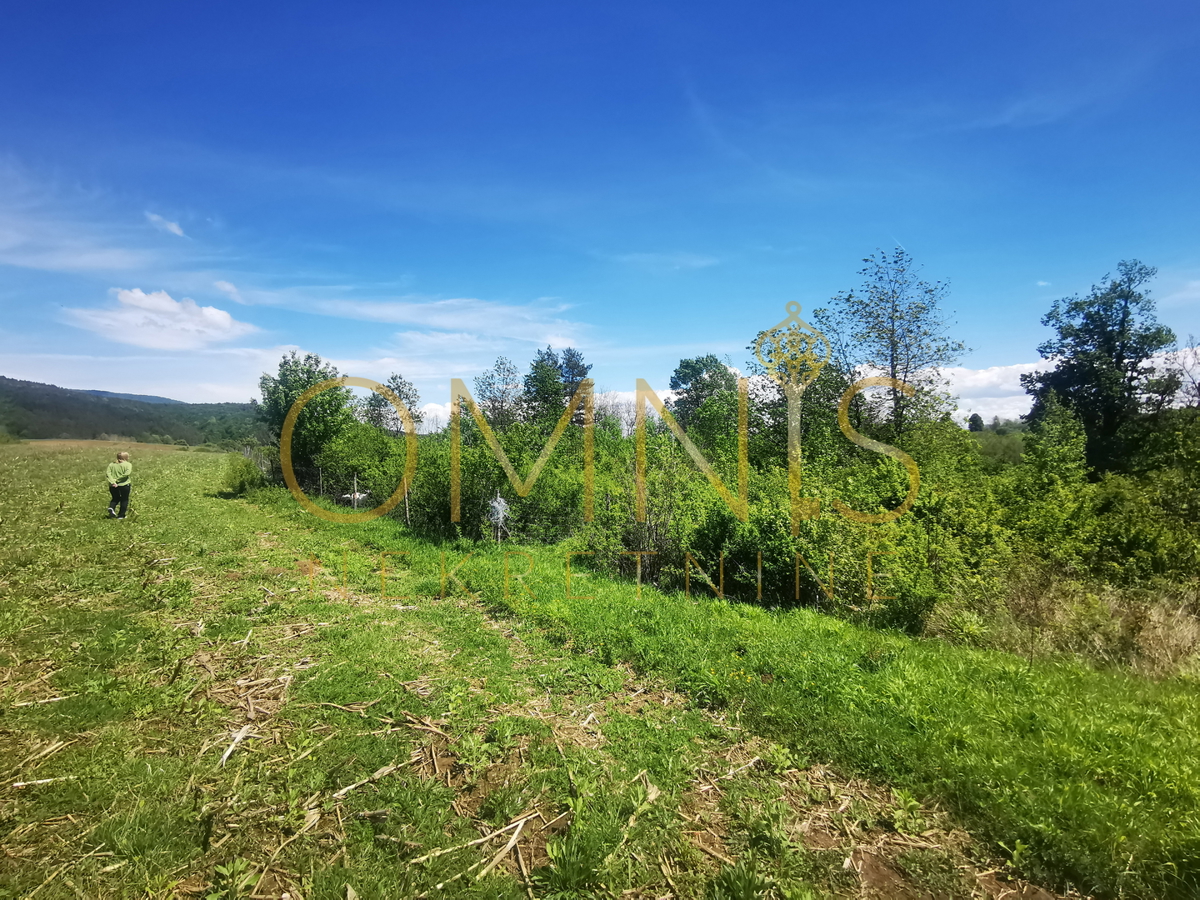 Prodaja mešane zemljišče v Plaškem – 82.924 m²