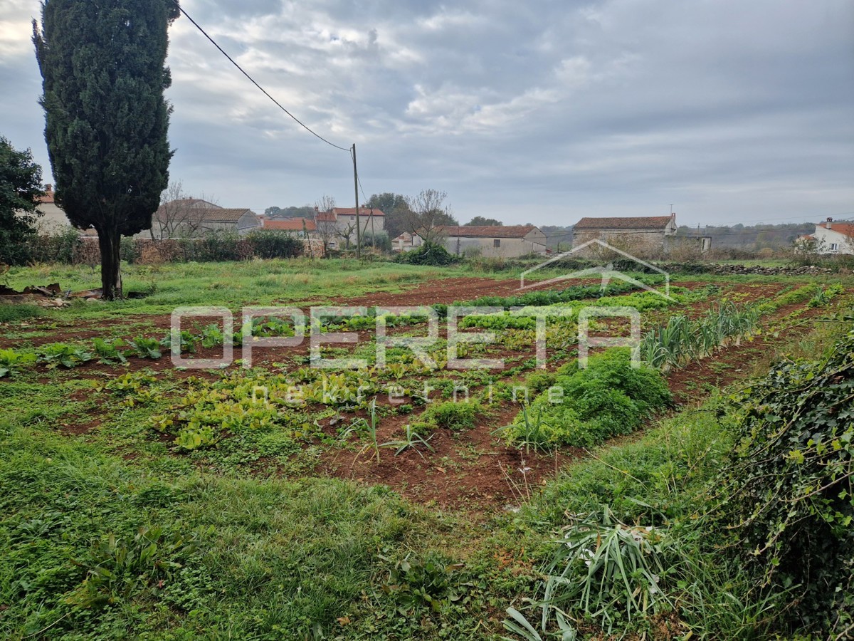 Istra, Manjadvorci, Posestvo s tremi porušenimi hišami, zemljiščem in idejnim projektom